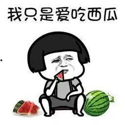 你们吃娱乐圈的瓜